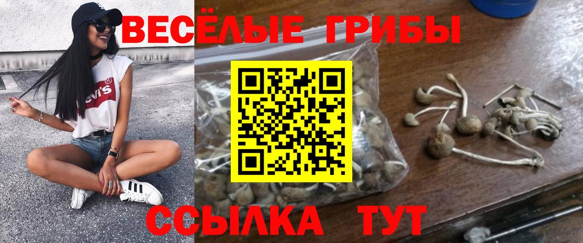 Псилоцибиновые грибы MAGIC MUSHROOMS Новый Уренгой