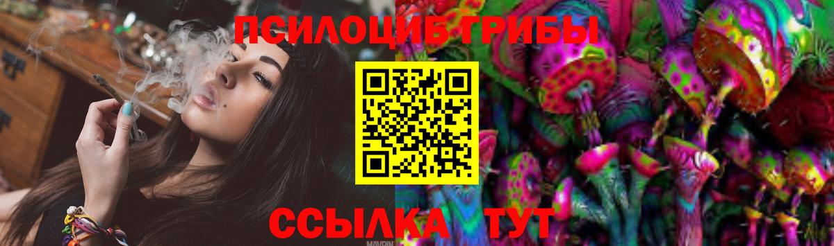 Псилоцибиновые грибы Psilocybe  Псилоцибиновые грибы Magic Shrooms  Вход с VPN  Новый Уренгой 